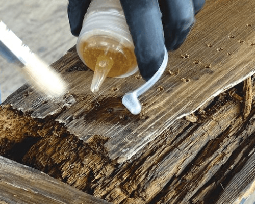 dry rot
